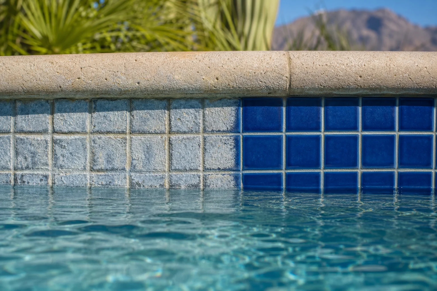 Pool technician cleaning calcium scale from waterline tile on a sparkling Scottsdale pool